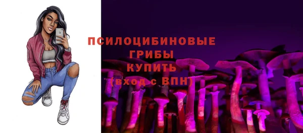 амф Абаза