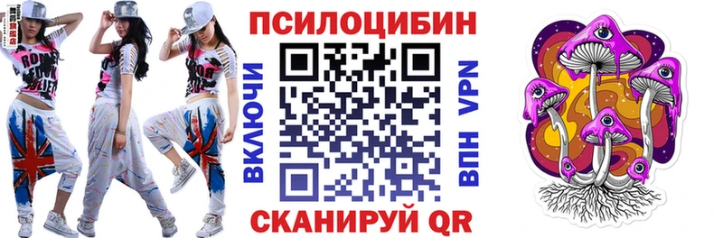 купить наркоту  Чишмы  Галлюциногенные грибы Psilocybe 